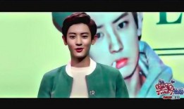 娱乐圈内幕爆料小说,揭秘幕后真相与权力斗争