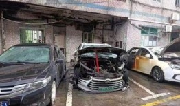 比亚迪爆料图片真实吗视频,揭秘背后真相